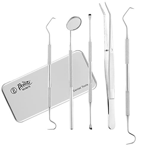 Beauté Secrets Dental Tools, Dental Pick Set 5Pcs Tooth Scraper Dental Hygiene Kit, Stainless Steel Teeth Cleaning Kit with Metal Case for Plaque Tartar Removal for Personal & Pets Use